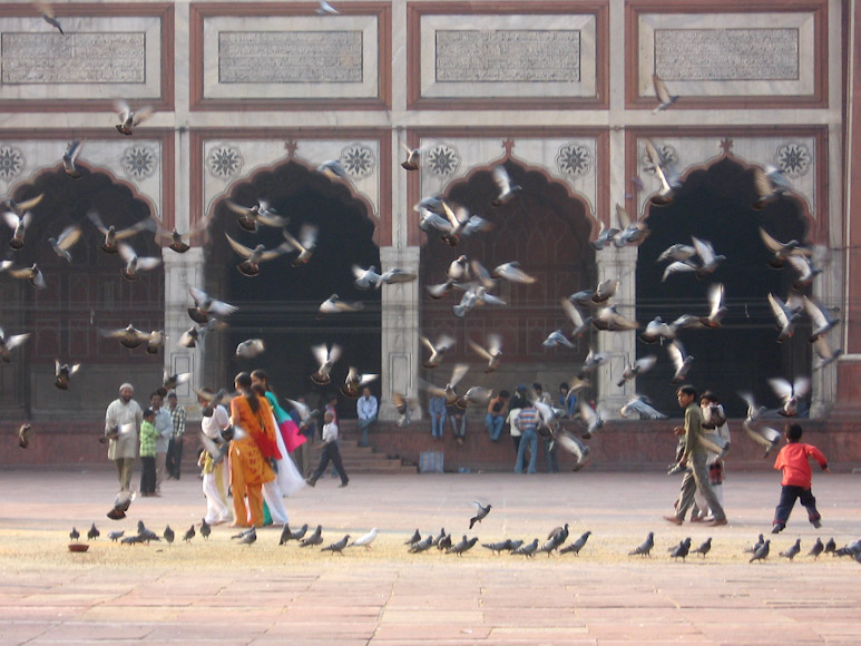 Indien :: Old Delhi, Delhi, Indien