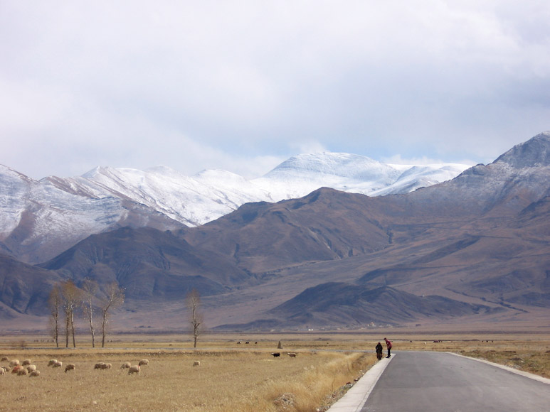 Tibet :: Hirtin im Lhundrub-Tal, Region Lhasa